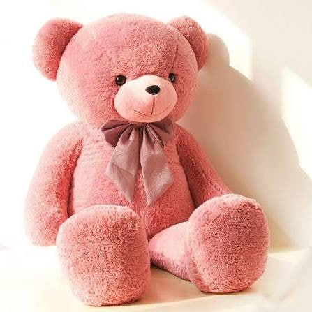 Baby Bear